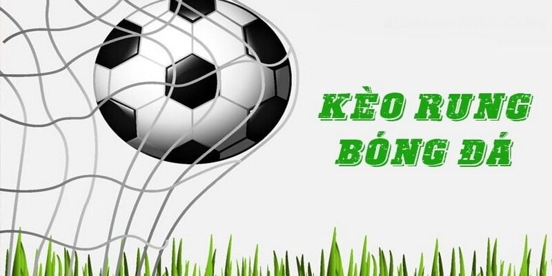 Hướng dẫn chơi kèo rung cho người mới tại Vuabet