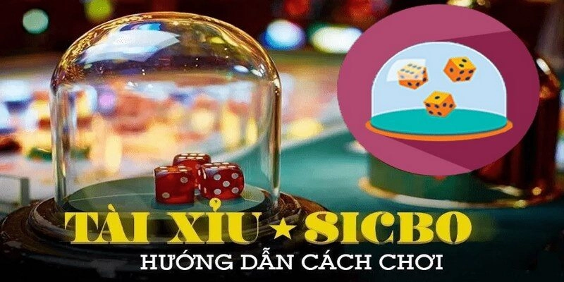 Bí quyết thắng lớn cho người mới khi đánh tài xỉu