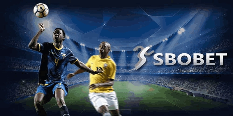 Ưu điểm của sảnh Sbo thể thao mà bạn nên biết