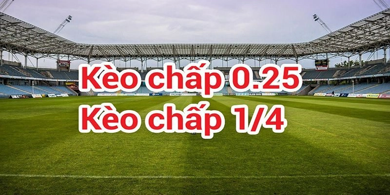 Hướng dẫn cách đọc kèo cực dễ hiểu dành cho newbie