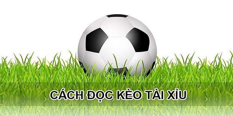 Nguyên nhân xuất hiện kèo
