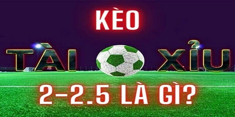 Kèo 2.5-3 là gì?