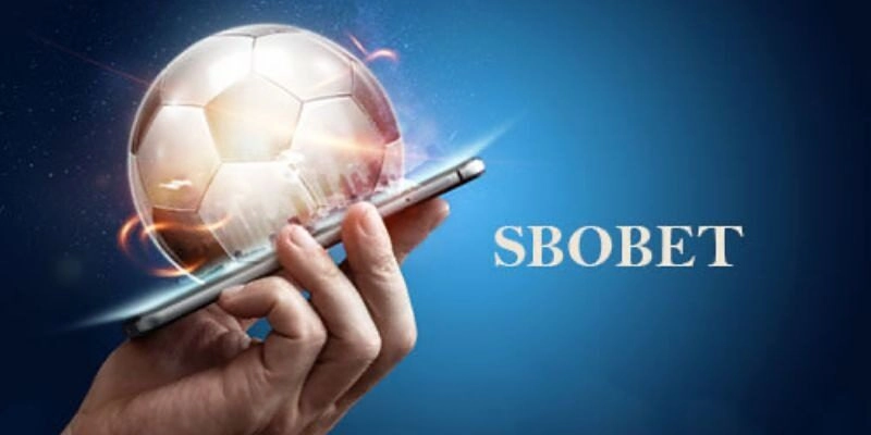 Đánh giá cá cược thể thảo sbobet