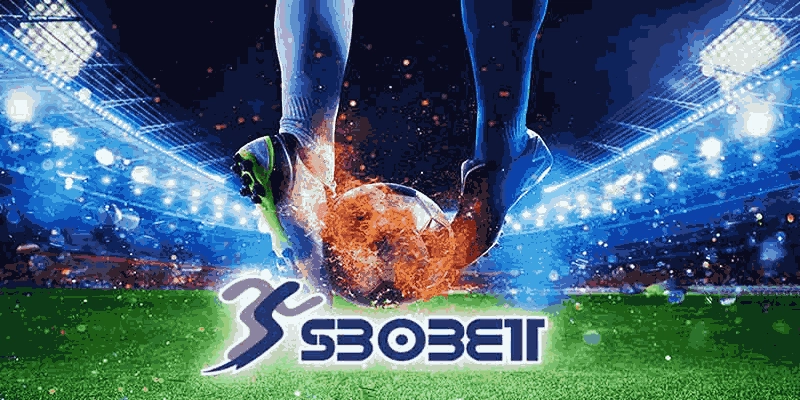 Các loại hình sbobet vuabet