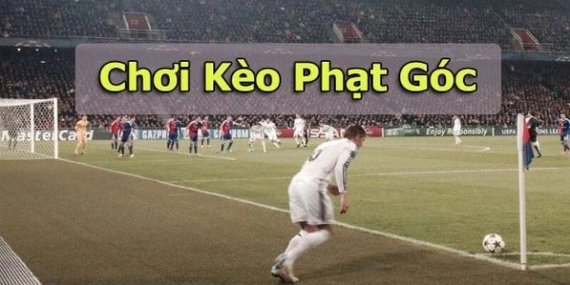 Bí quyết hiệu quả khi gia nhập kèo góc hôm nay giúp bạn thắng lớn