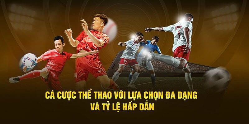 Đánh giá ưu điểm vượt trội khi tham gia thể thao Vuabet