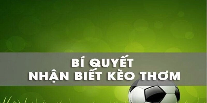 Kinh nghiệm soi kèo thơm Vuabet dễ về bờ